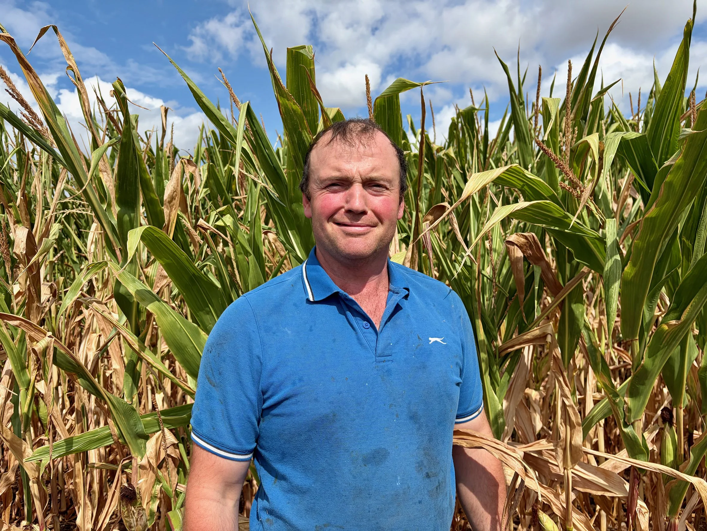 Maize additive key to optimising forage stocks on Somerset farm