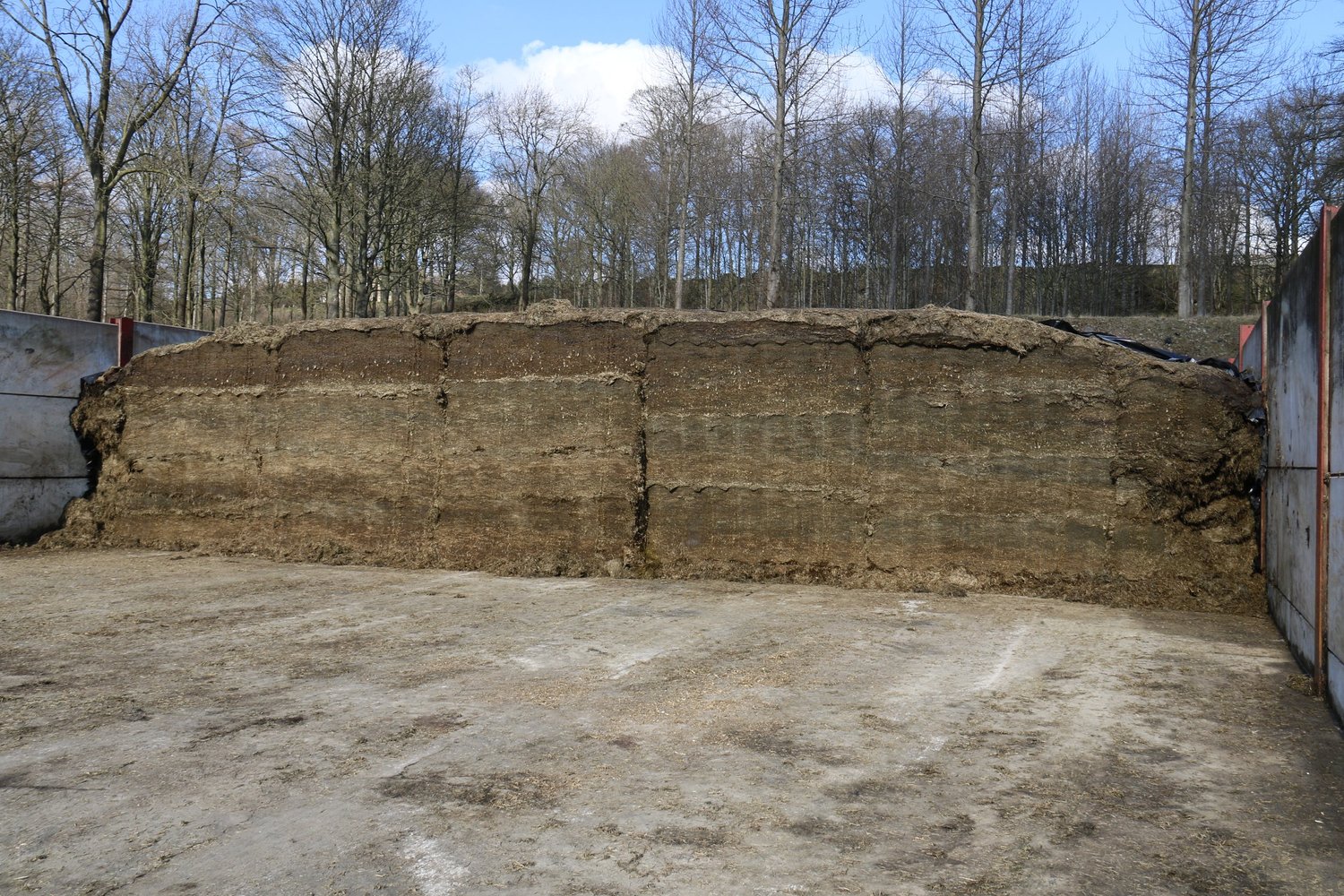 Five points to check in your clamp to help boost next season’s silage ...