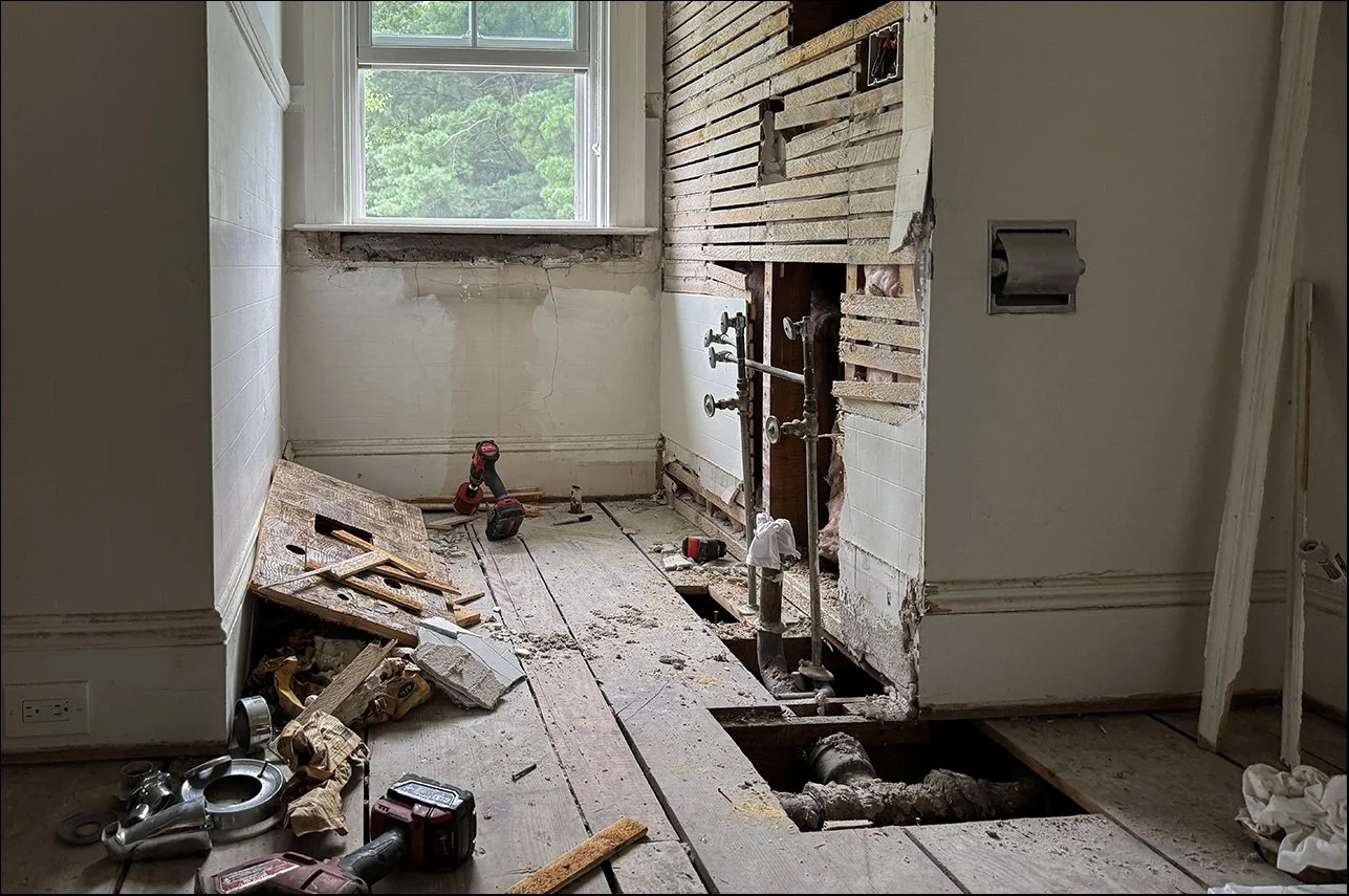 20240806 IMG_8261.JPG