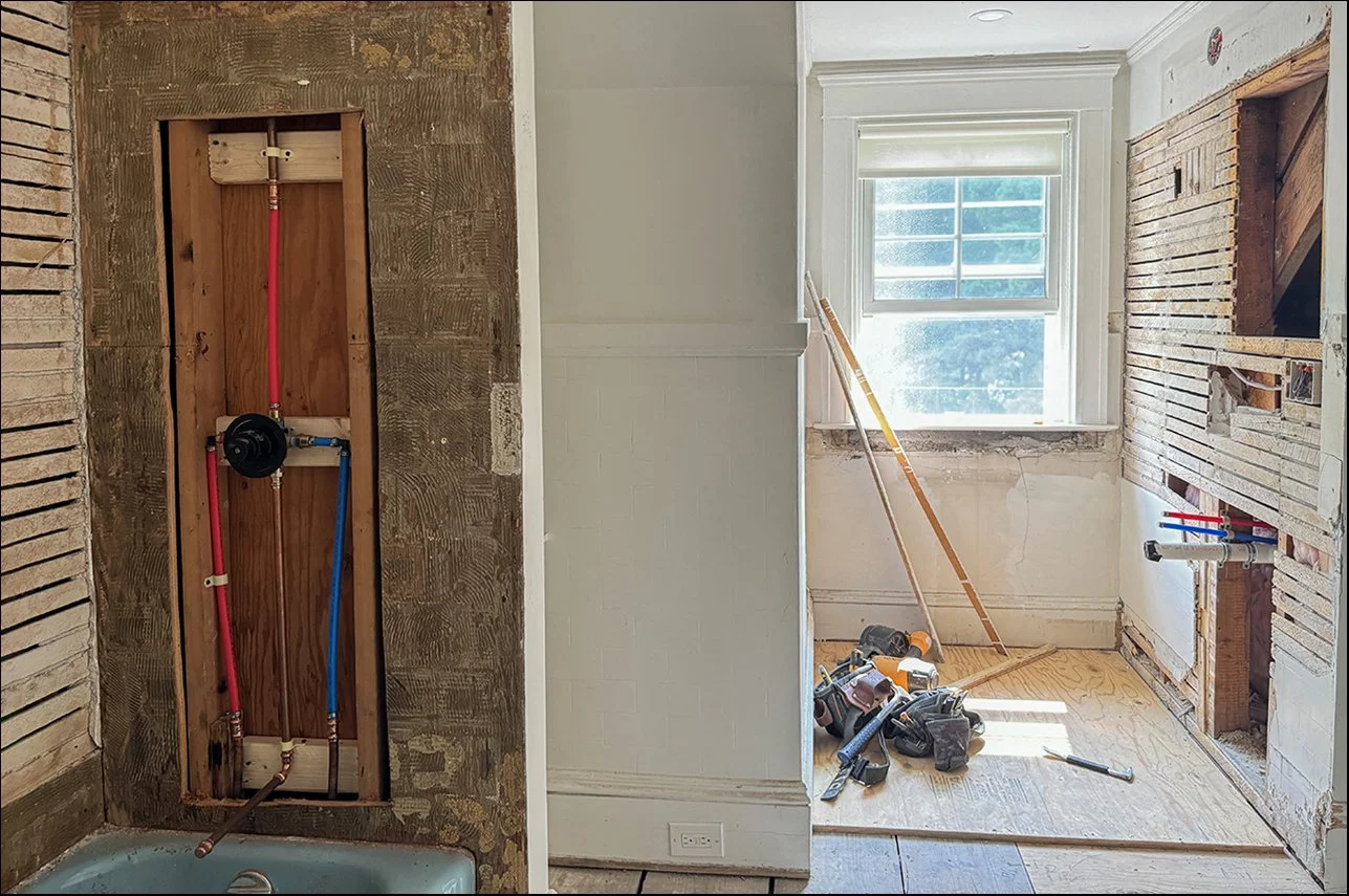 20240817 IMG_8996.JPG