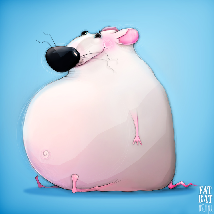 fat rat