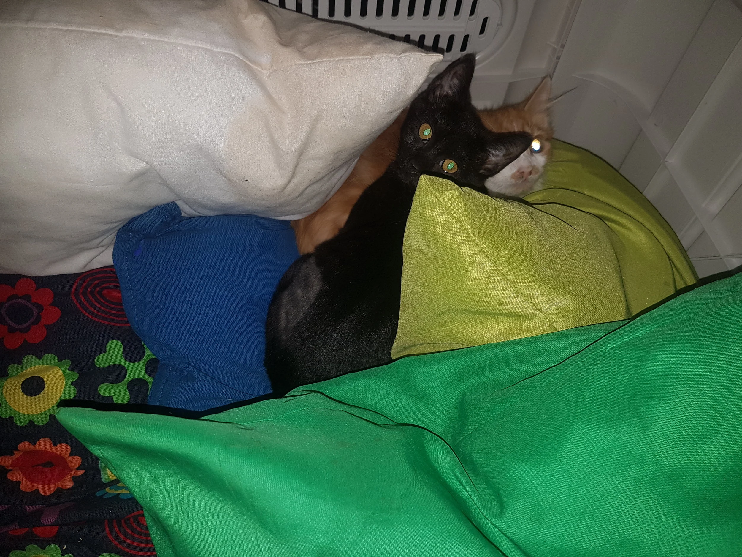 20180322_161550.jpg