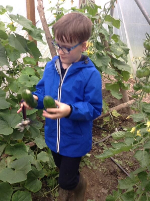 Harvest time.jpg