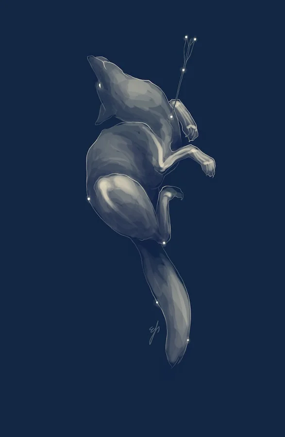 Vulpecula and Sagitta