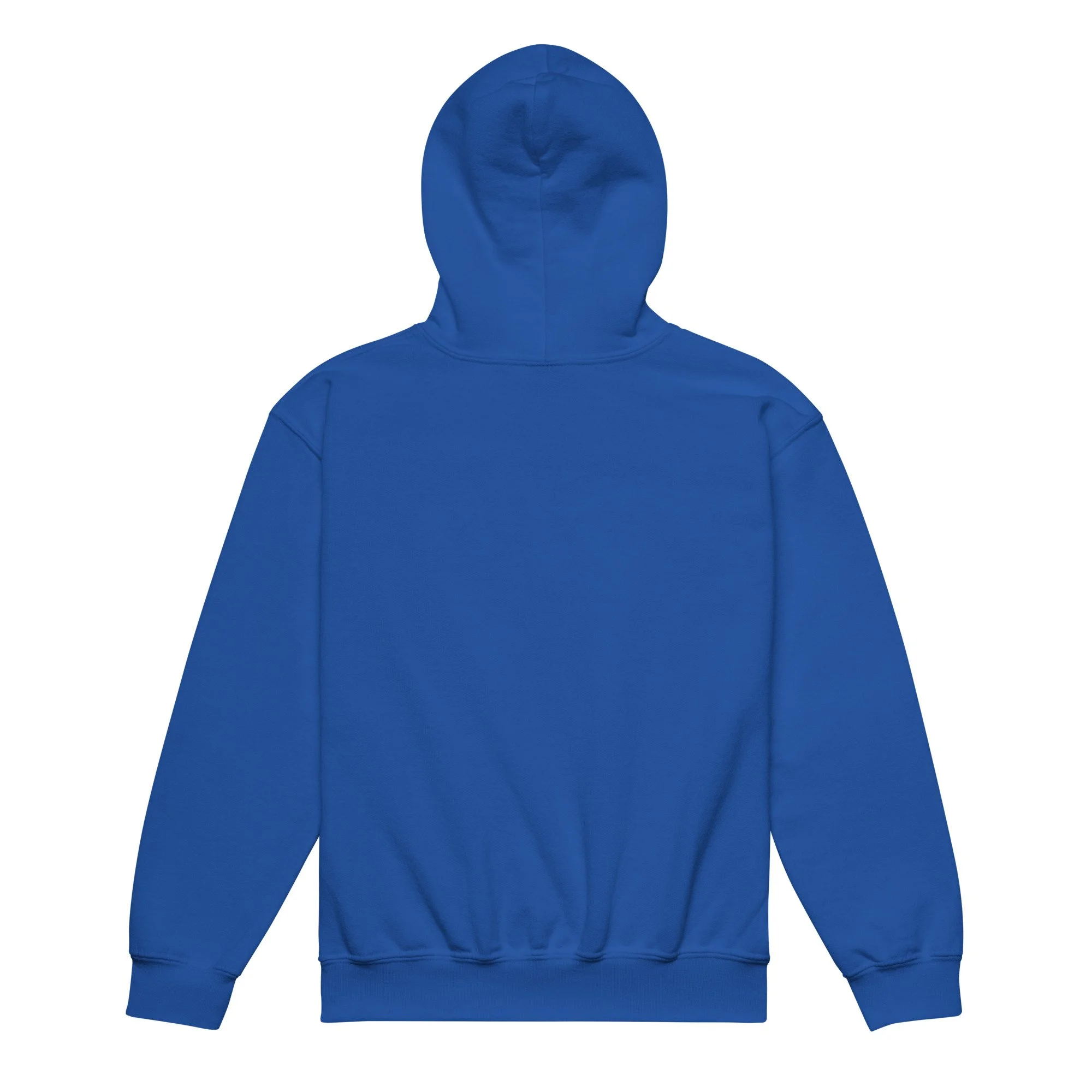 youth-heavy-blend-hoodie-royal-back-6935b23cb617b.jpg