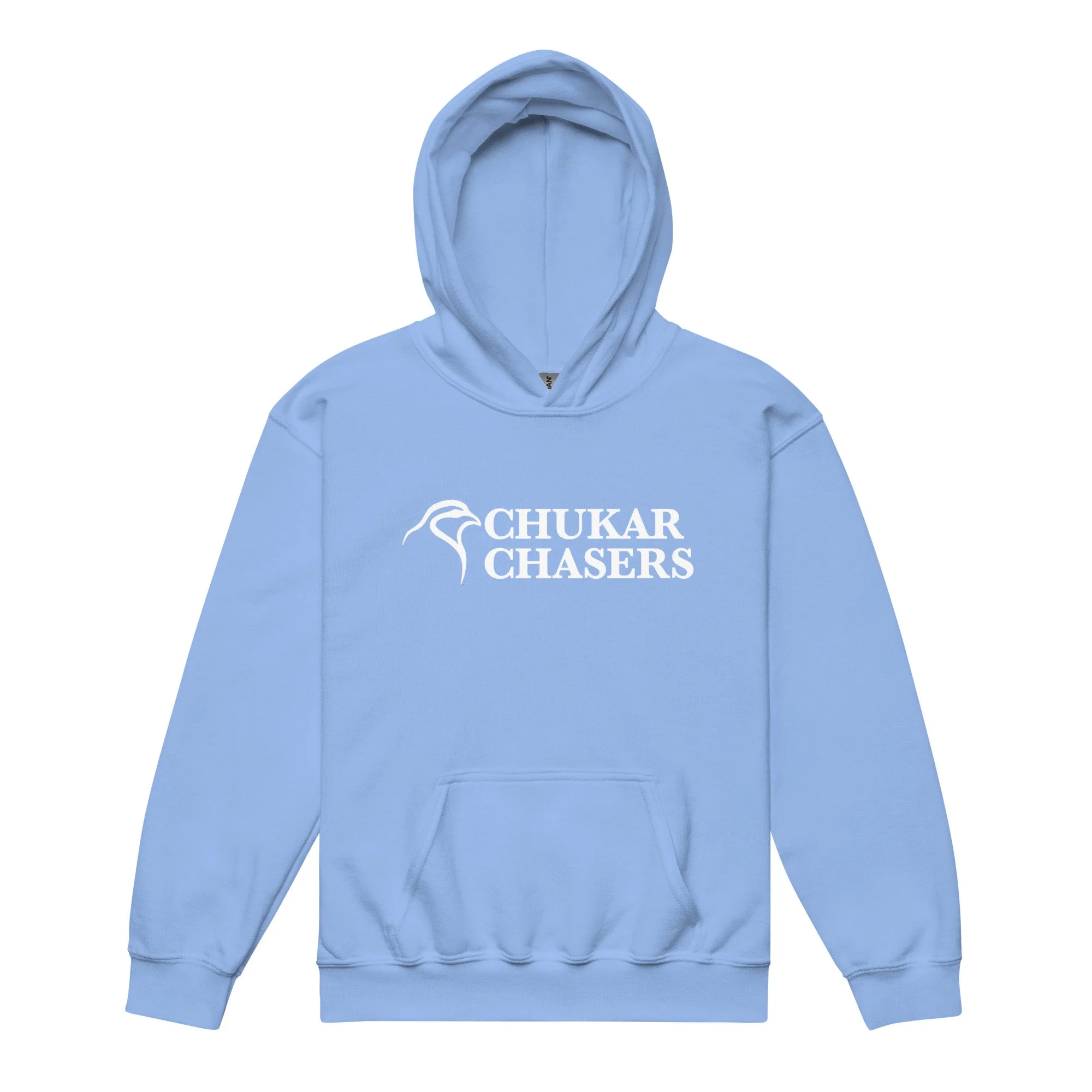 youth-heavy-blend-hoodie-carolina-blue-front-6935b23cb64fb.jpg