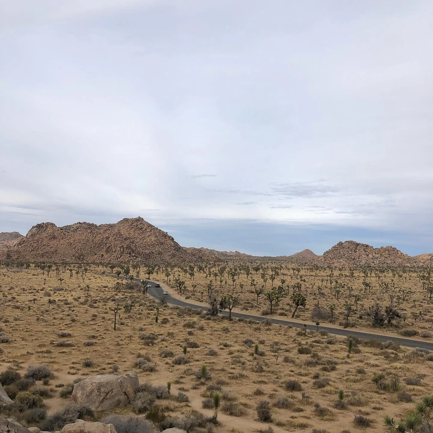 A little escape from reality