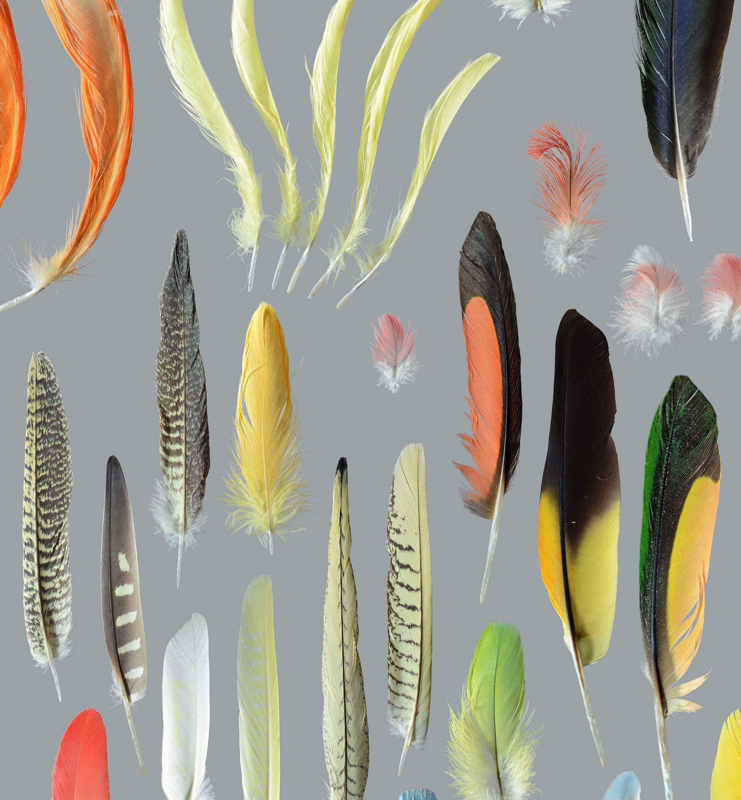 Untitled design (22).jpg