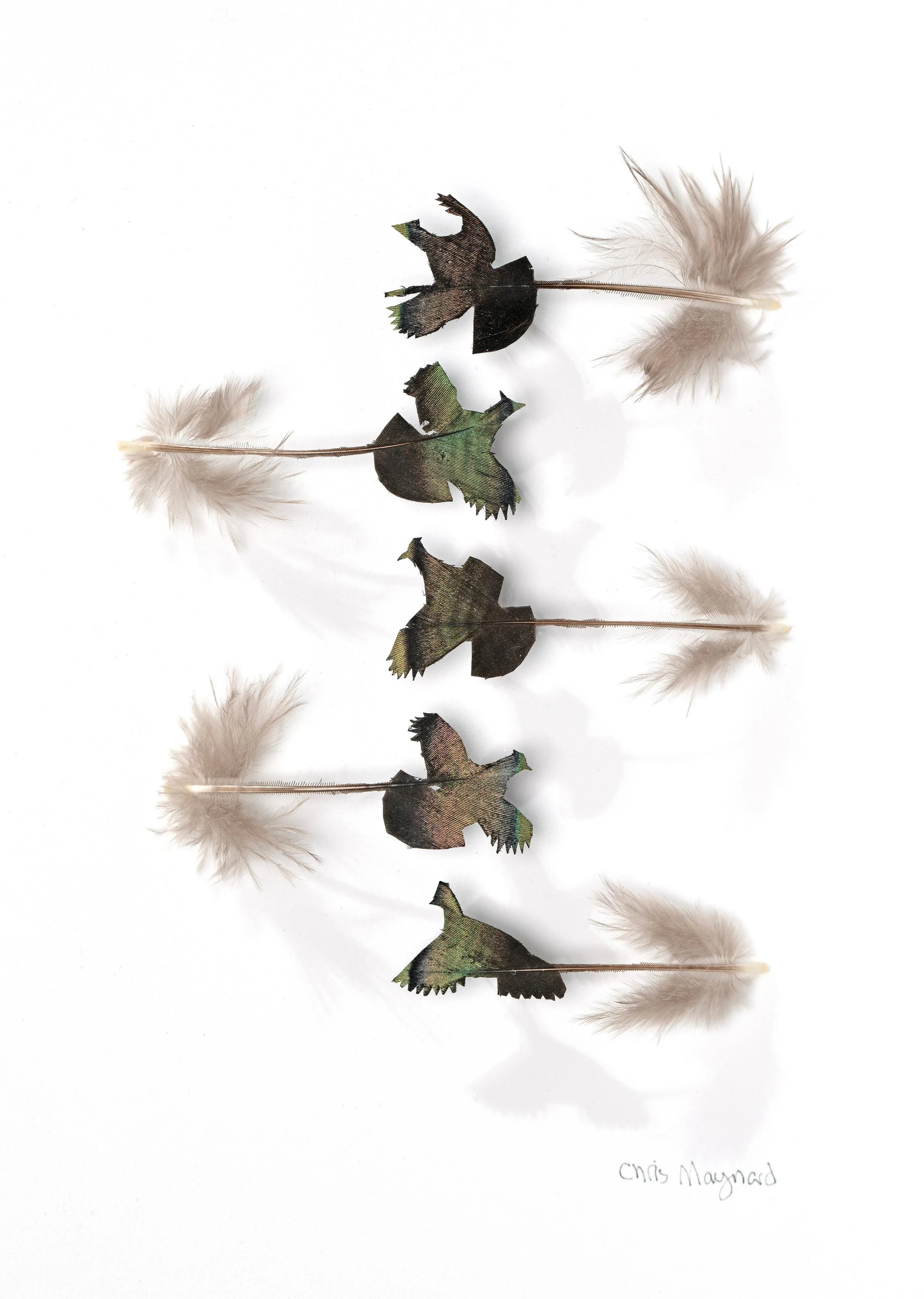 Untitled design (28).jpg