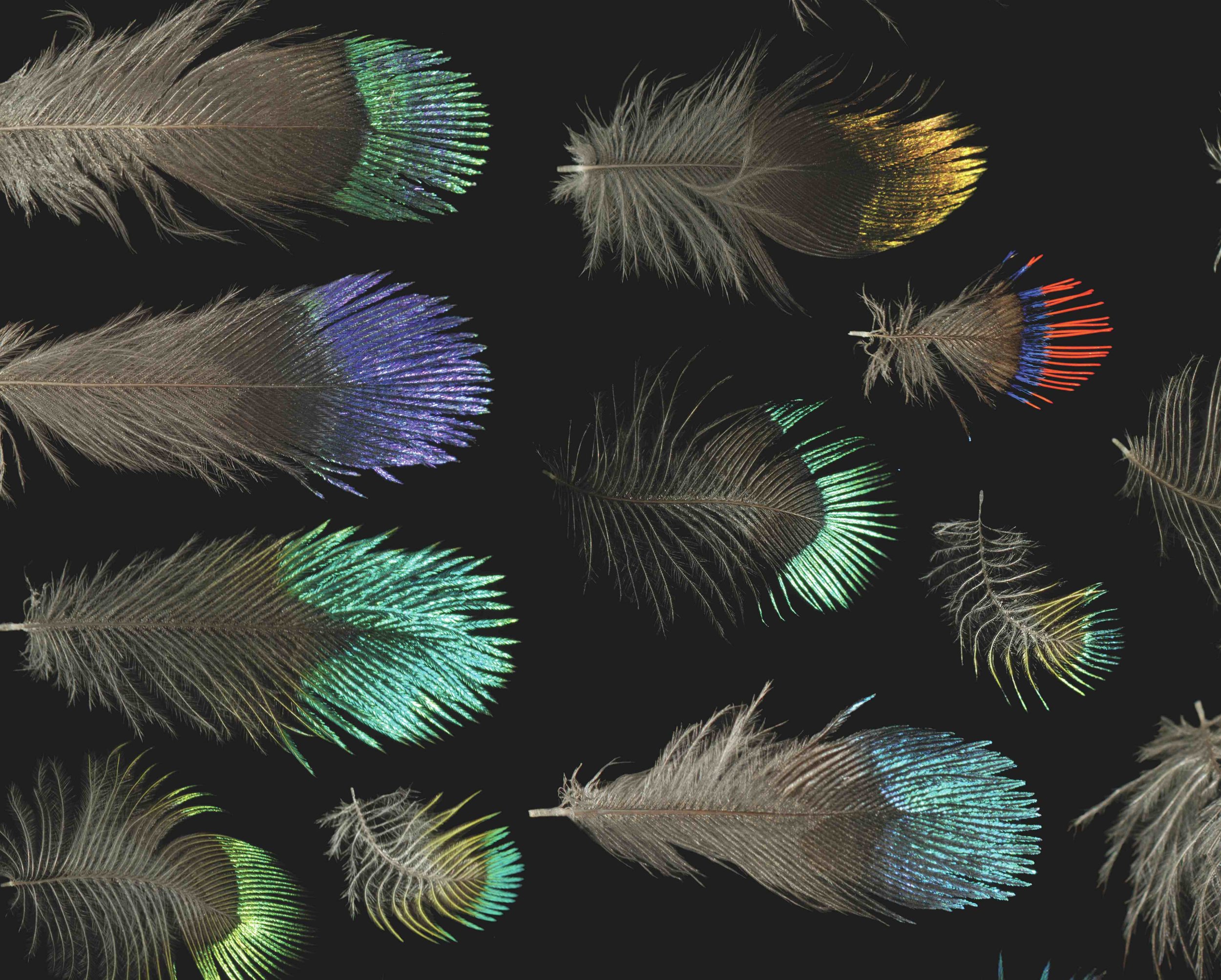 Untitled design (34).jpg