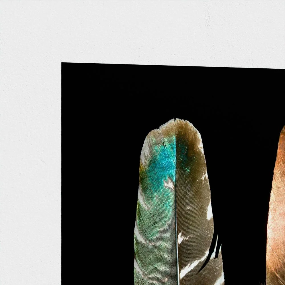 prodigi-GLOBAL-HPR-18X24 (1).jpg