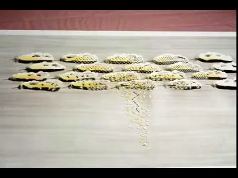 Stop Motion Video: A Possible Explanation for the Sudden Appearance of Swallows