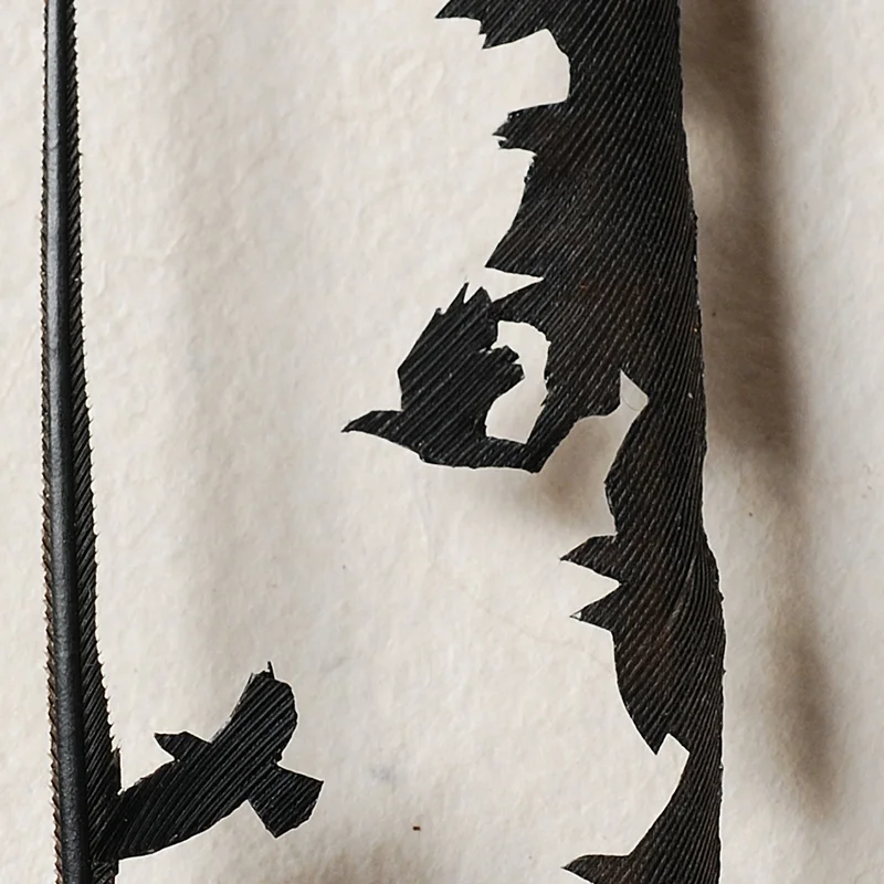 Pro-Crow-Creation-1CloserWEB.jpg