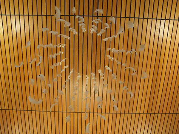Wedding feather installation column