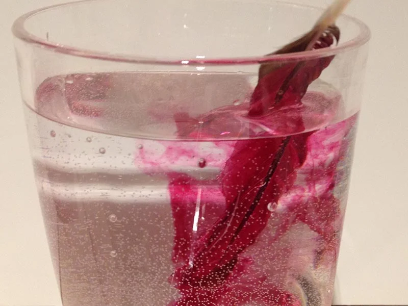 Turaco feather soluble