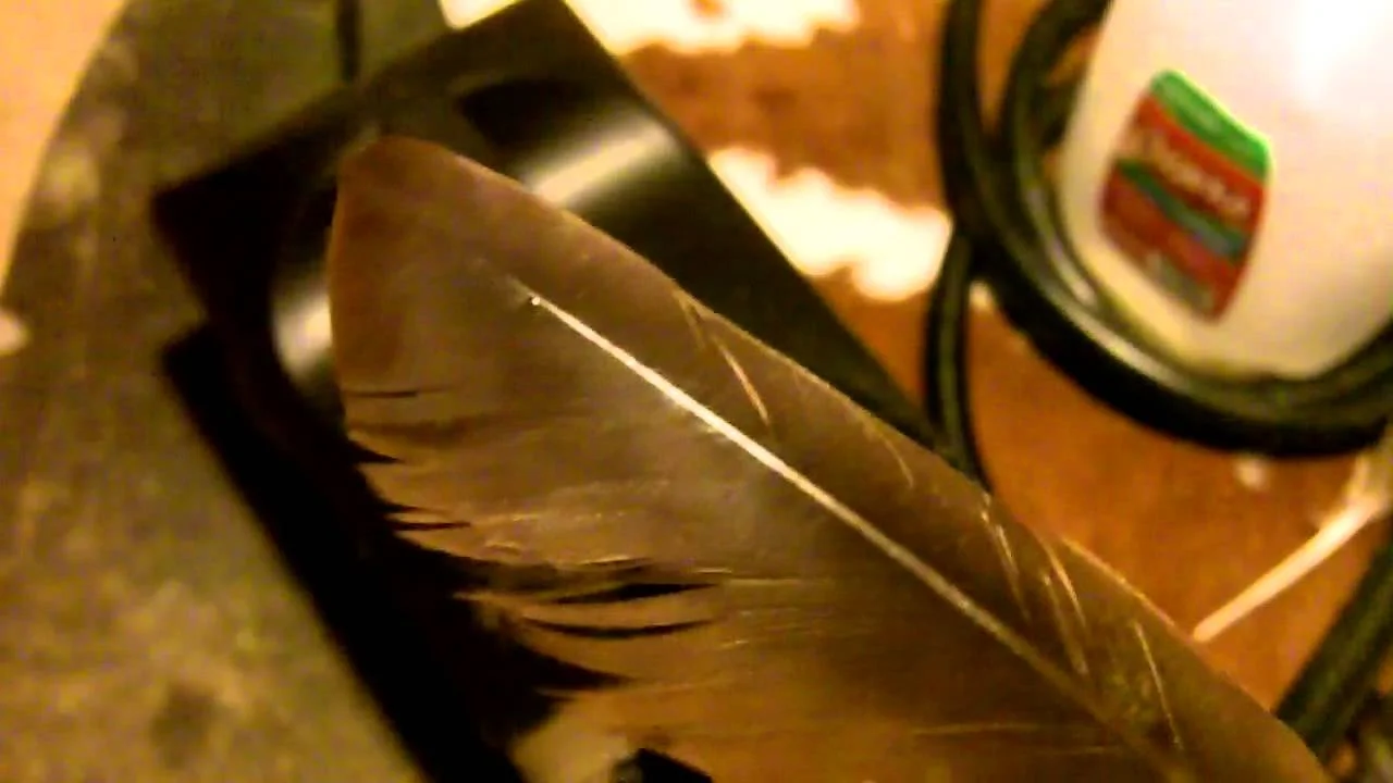 how-to-fix-a-tattered-frayed-fea.jpg