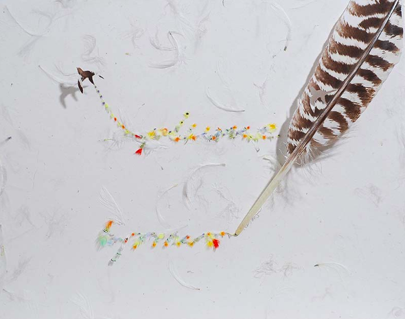 Plume . turkey feather and tiny head and cheek feathers from various small parrots . 2013