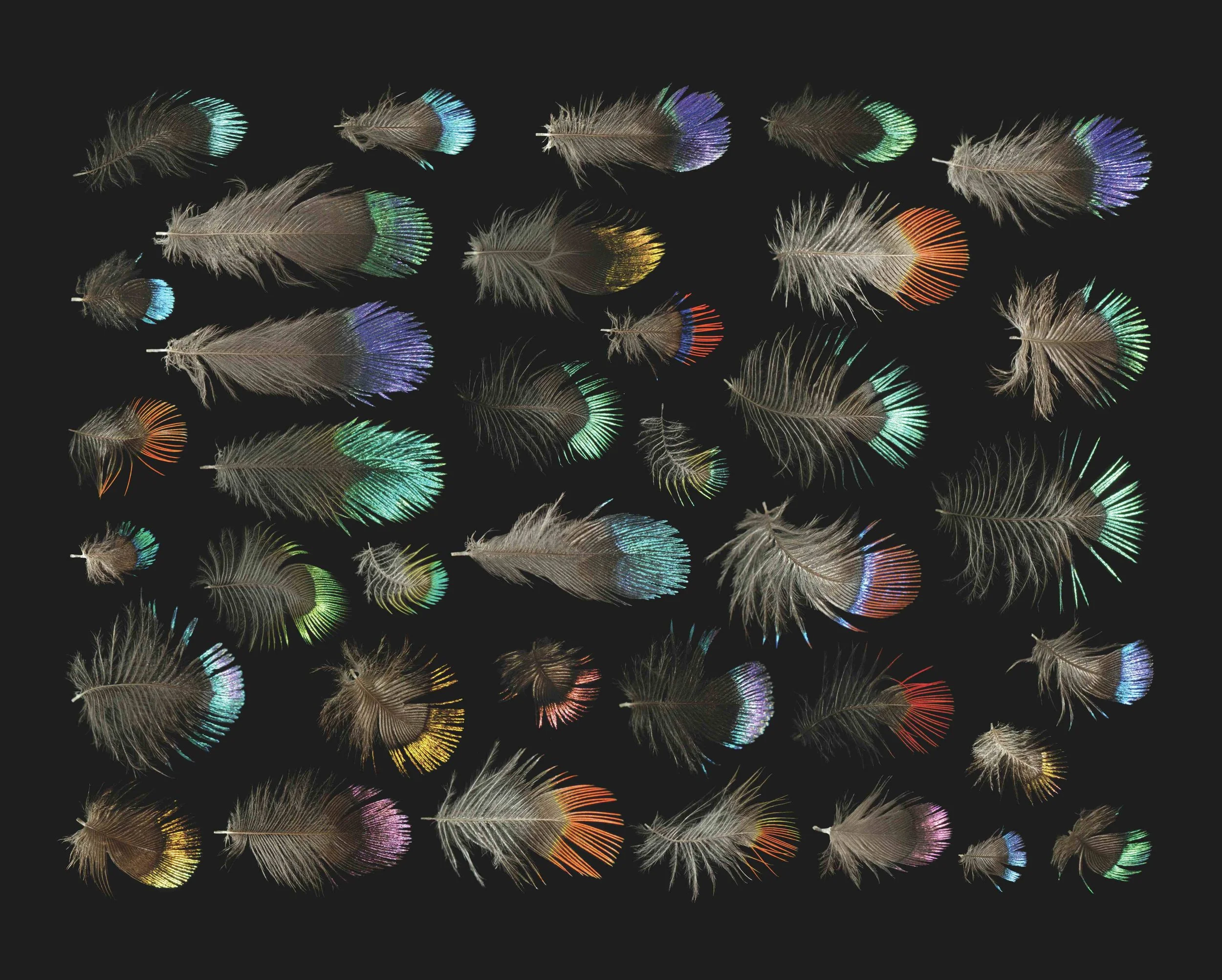 Untitled design (32).jpg