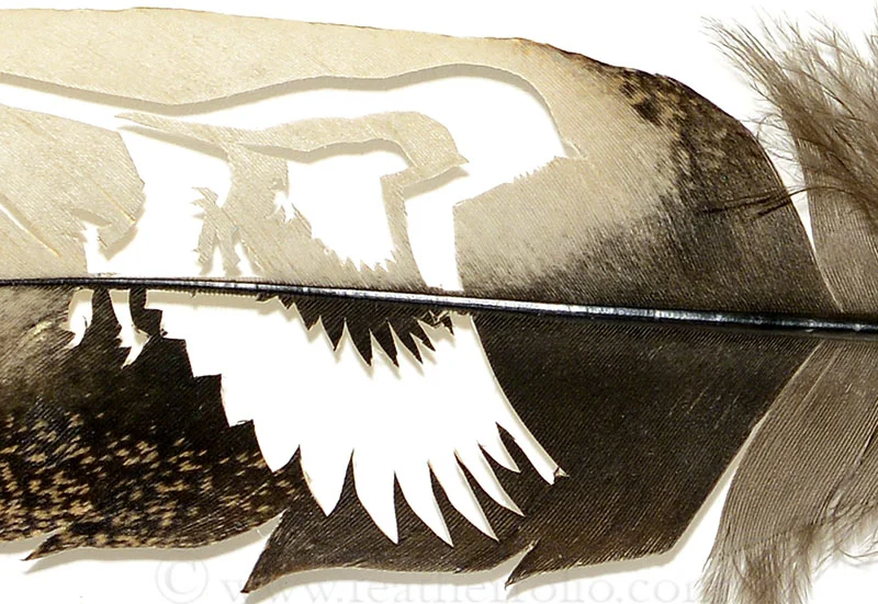 Chickadee Heart . 12" x 12" . turkey feather