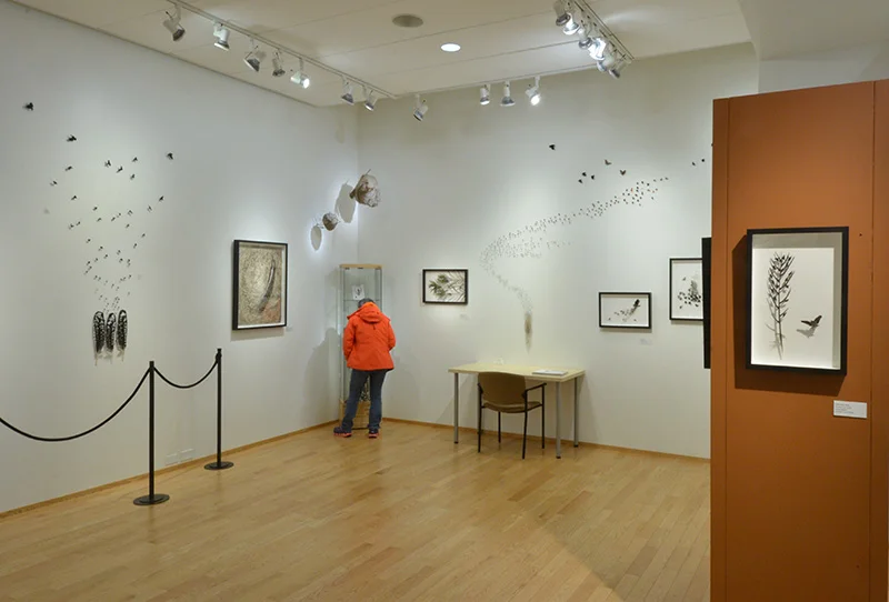 Bainbridge Island Museum of Art