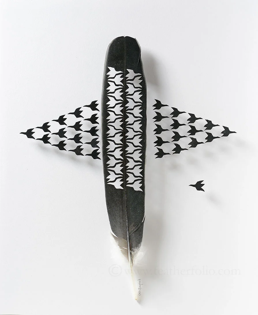 MCE . marabou stork feather . 17" x 14"