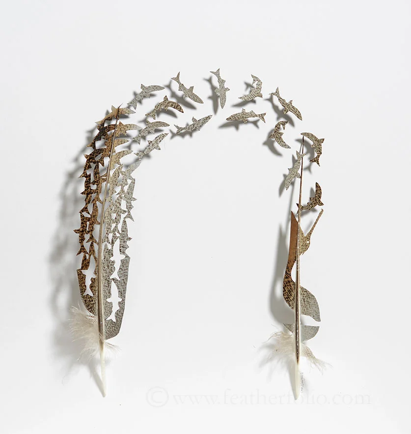 Pelicanesis . turkey feathers . 20" x 19"