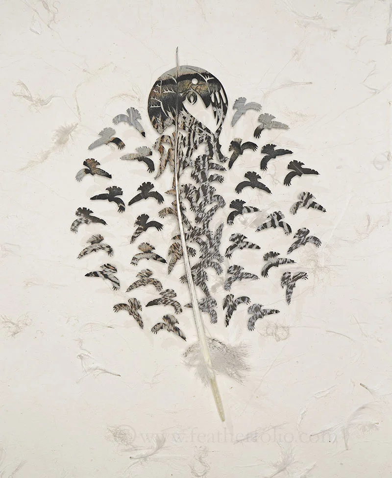 Raven Rounds . turkey feather . 21" x 15" . 2018