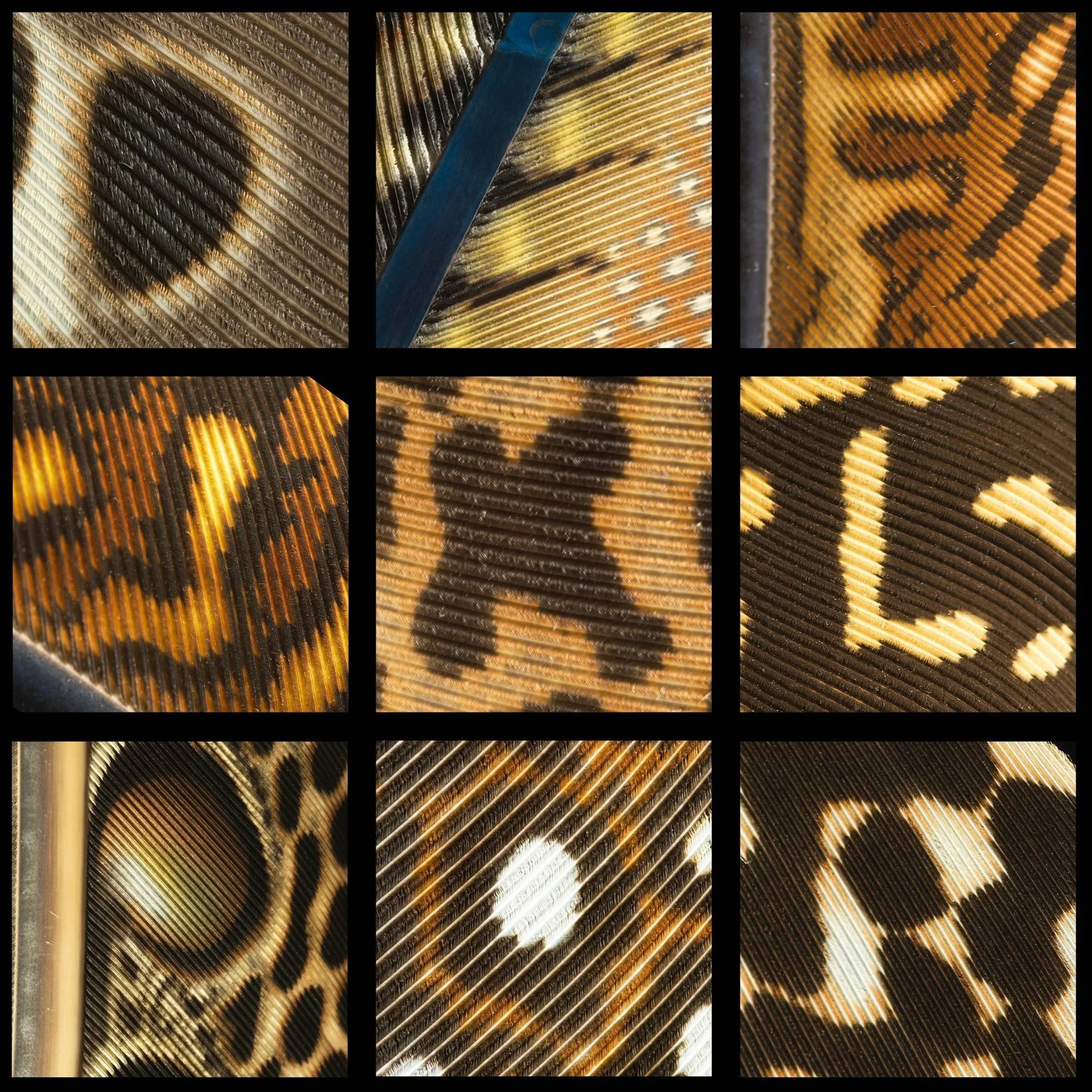 Untitled design (3).jpg