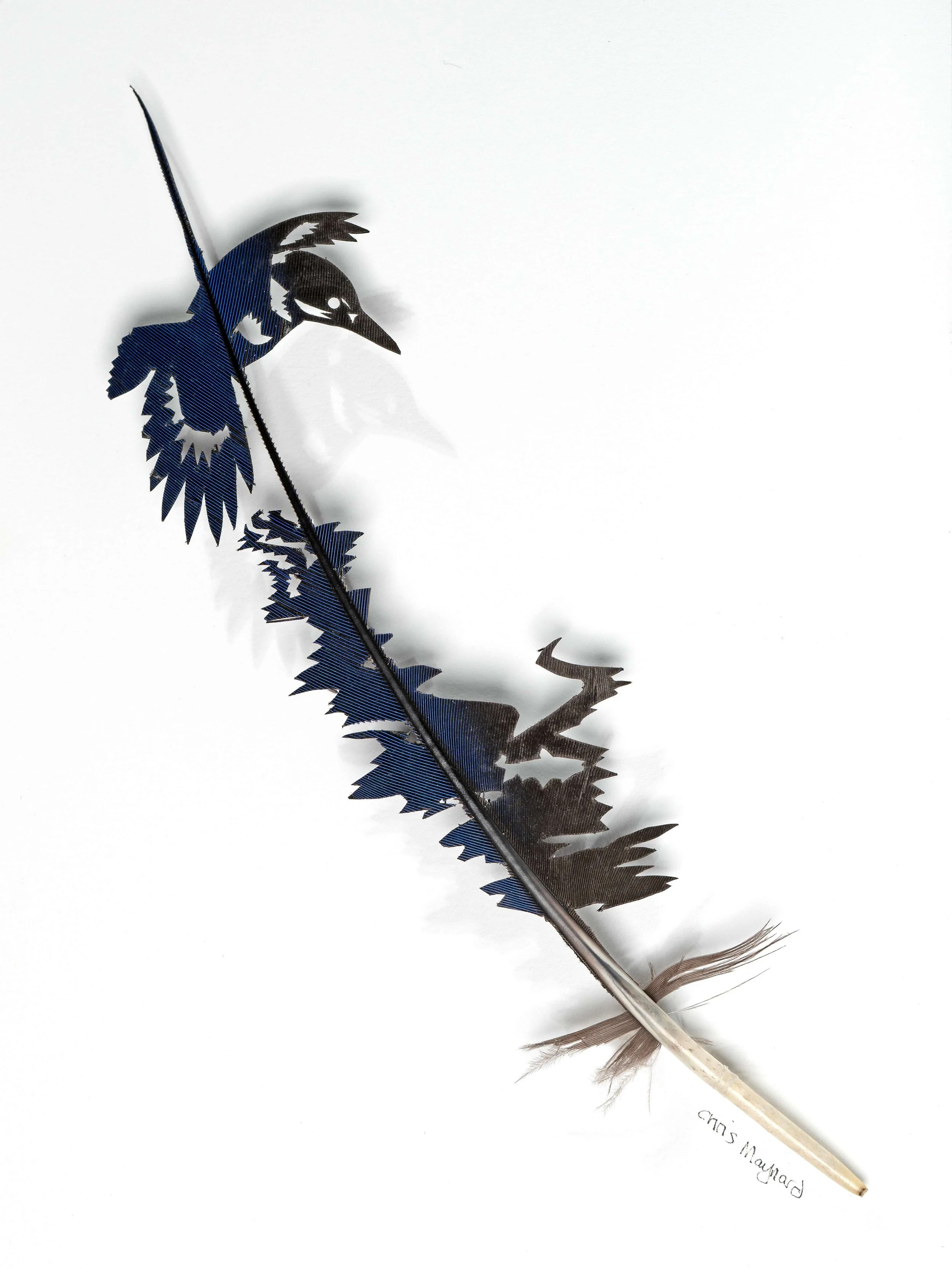 Untitled design (24).jpg