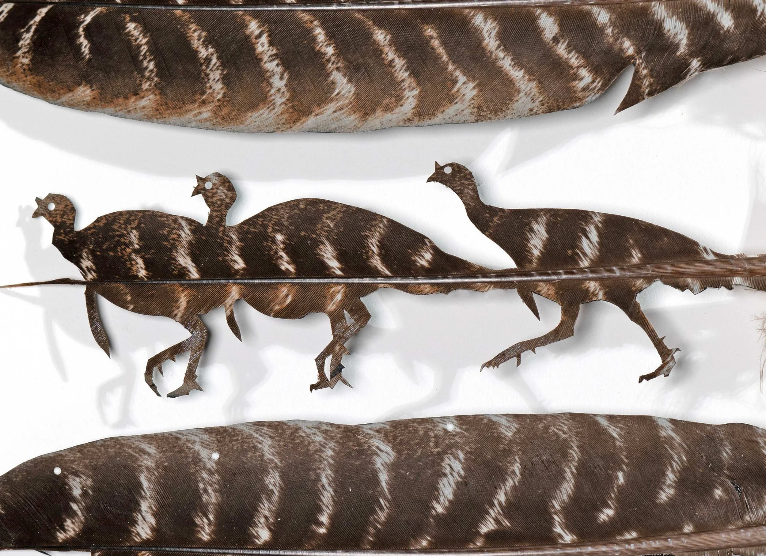 Untitled design (21).jpg