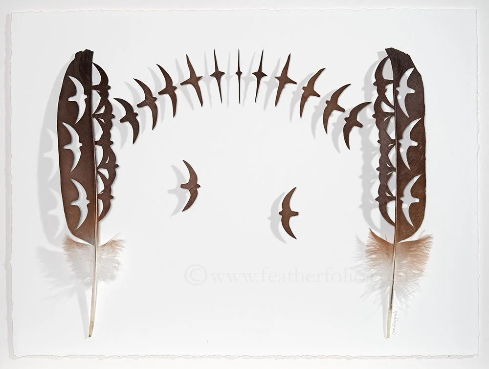 Swift Transformation WEBwm.jpg