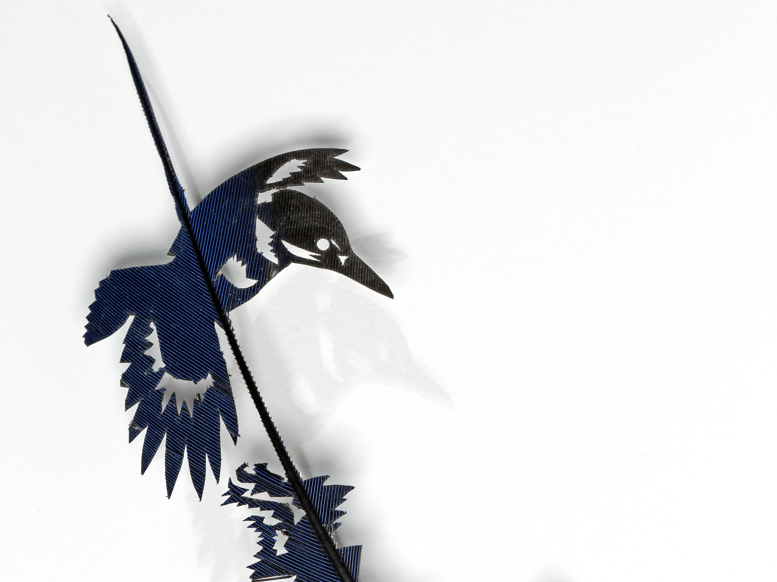 King Fisher Whiter_2.jpg