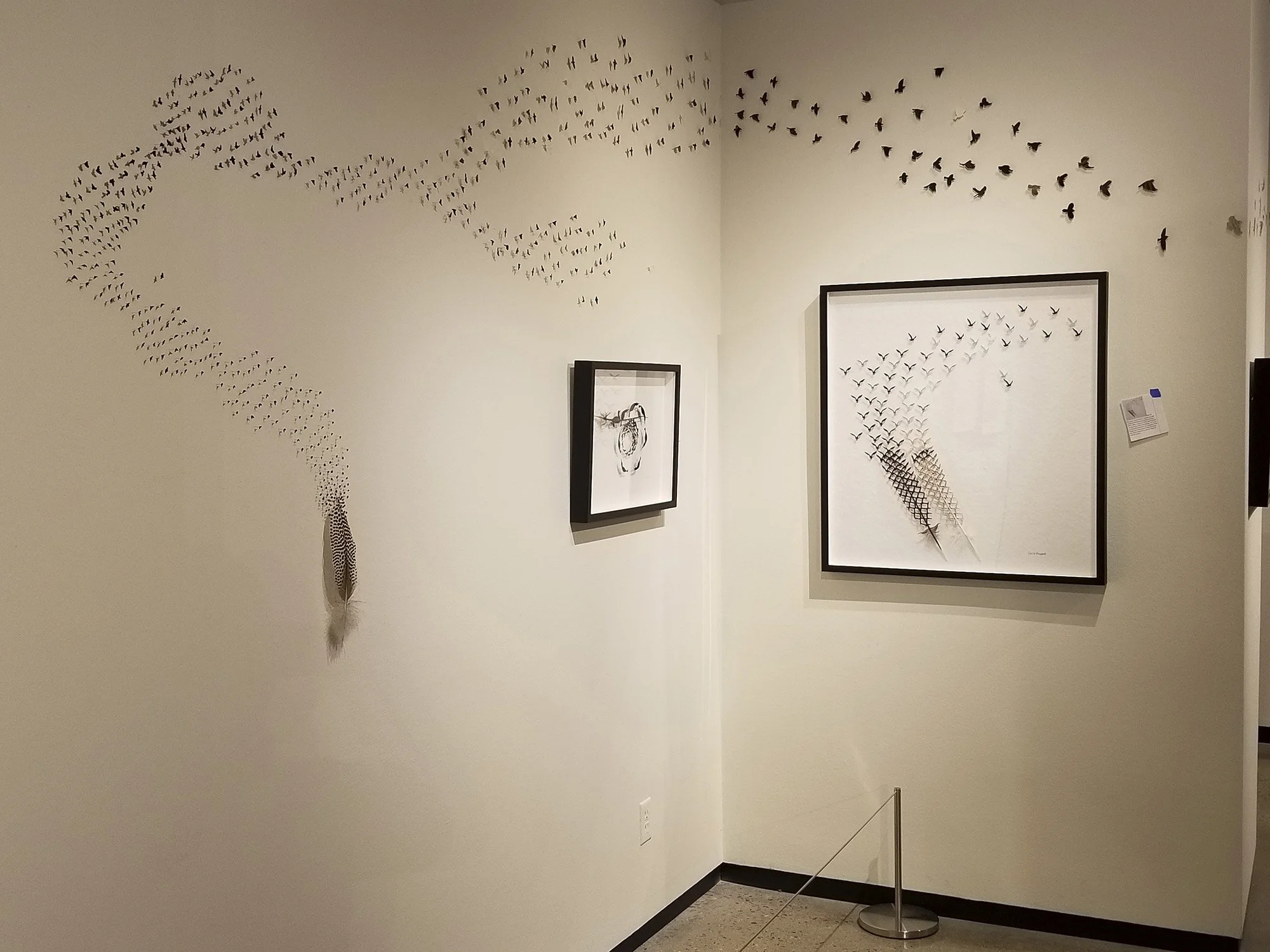 1 2019 museum murmur 2000px.jpg