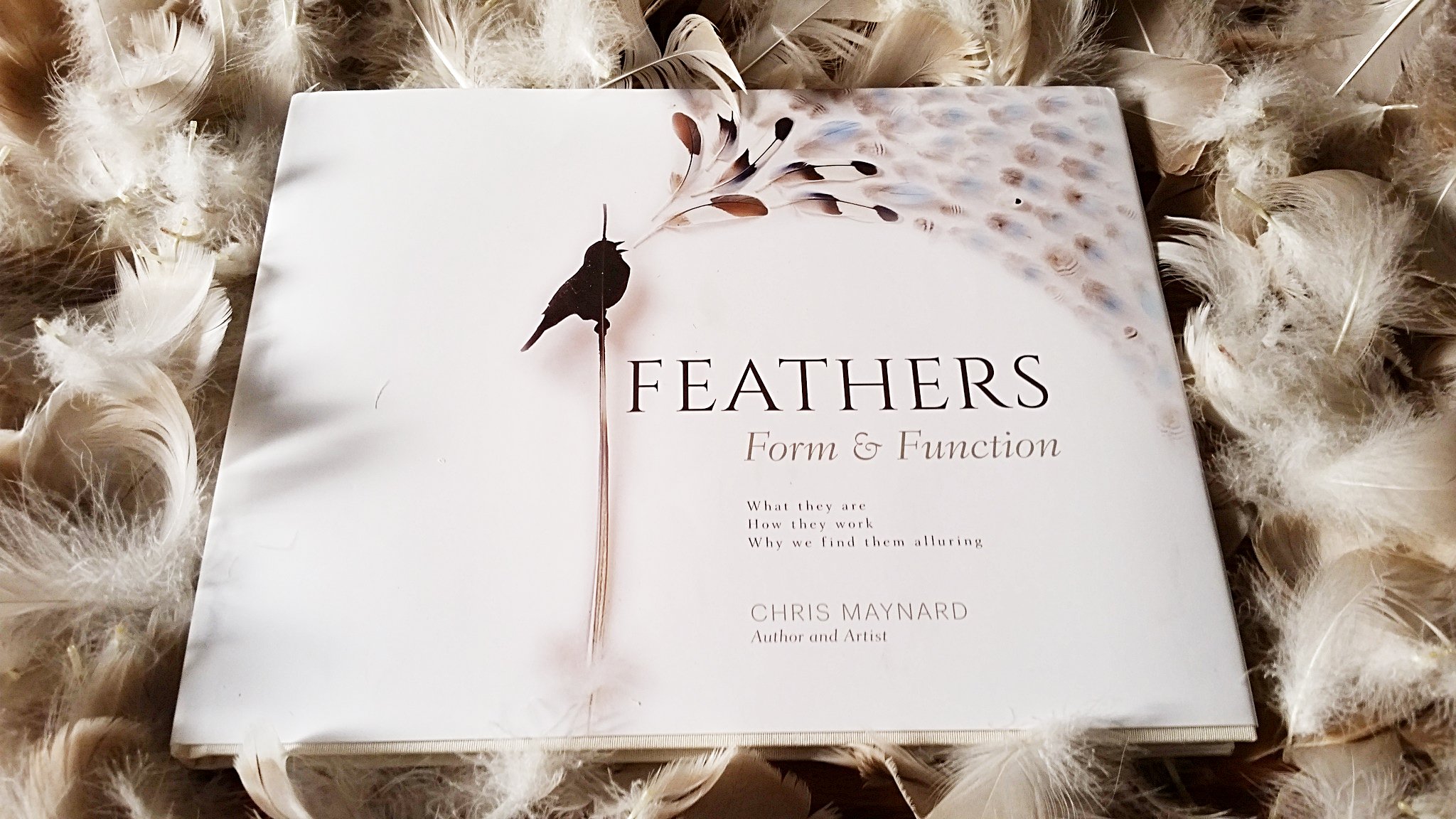 Book on Feathers3.jpg