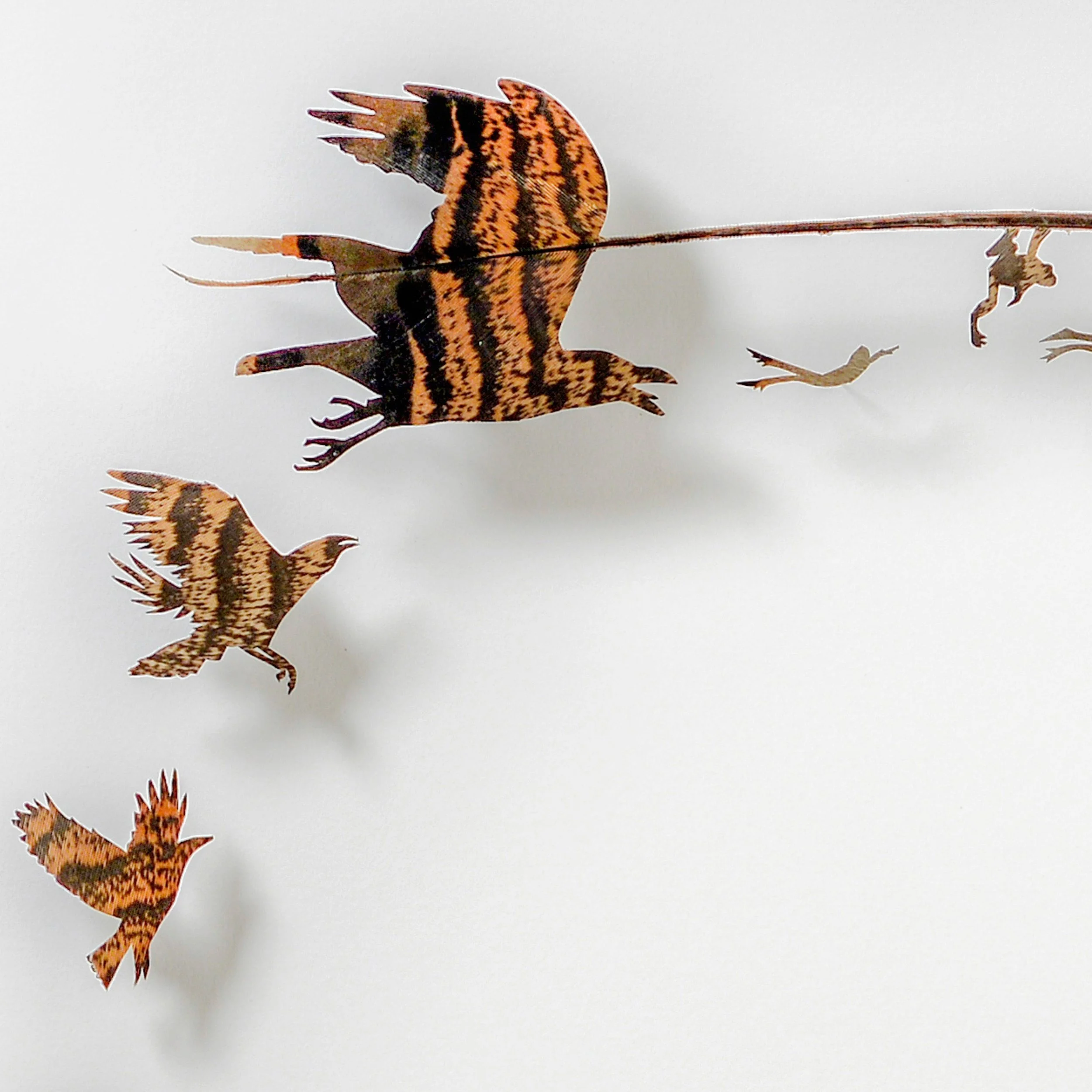 Untitled design (18).jpg