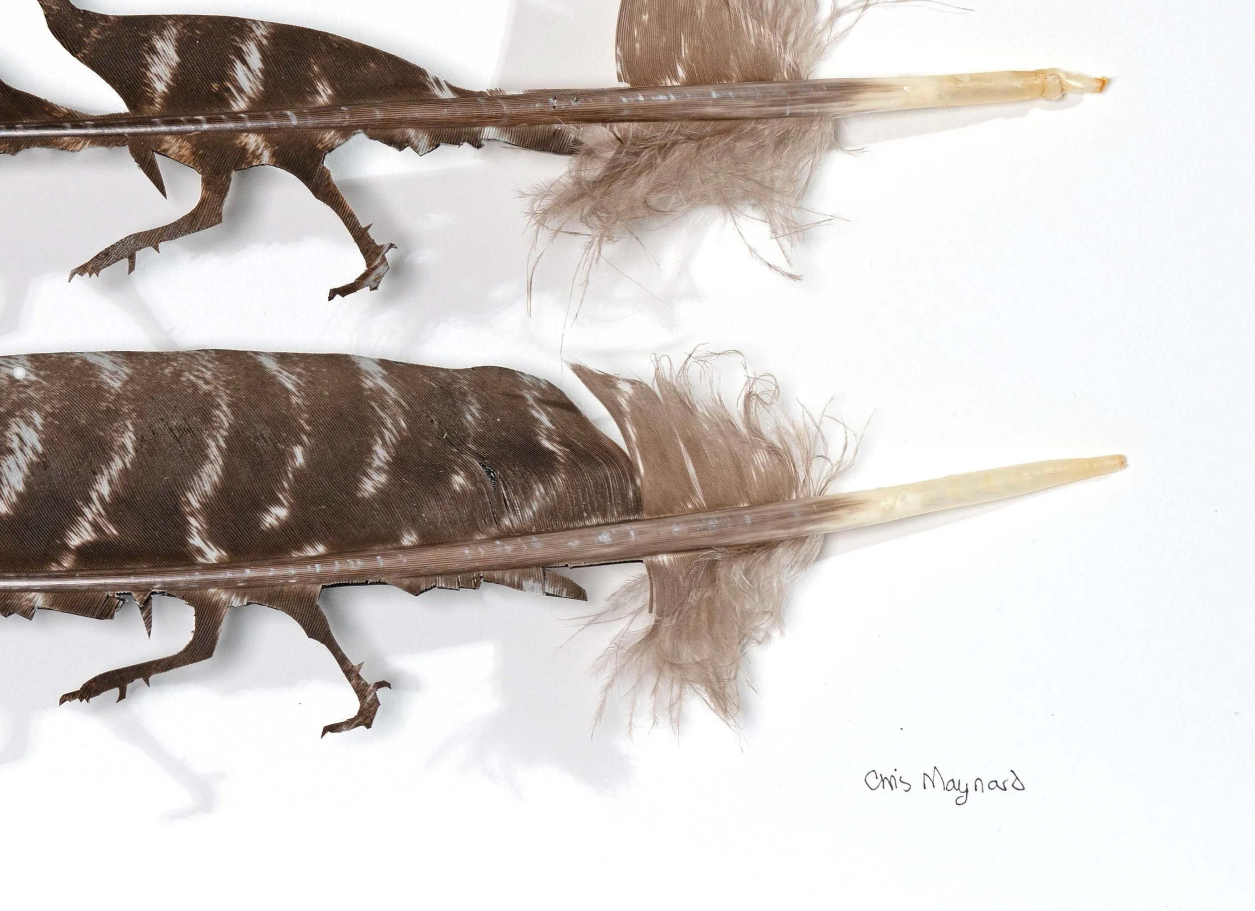 Untitled design (20).jpg