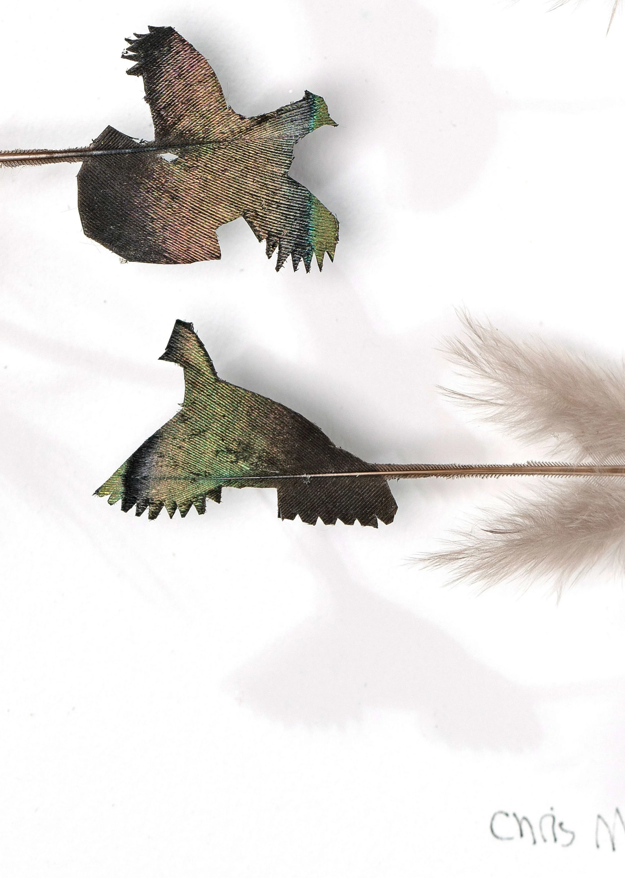 Untitled design (31).jpg