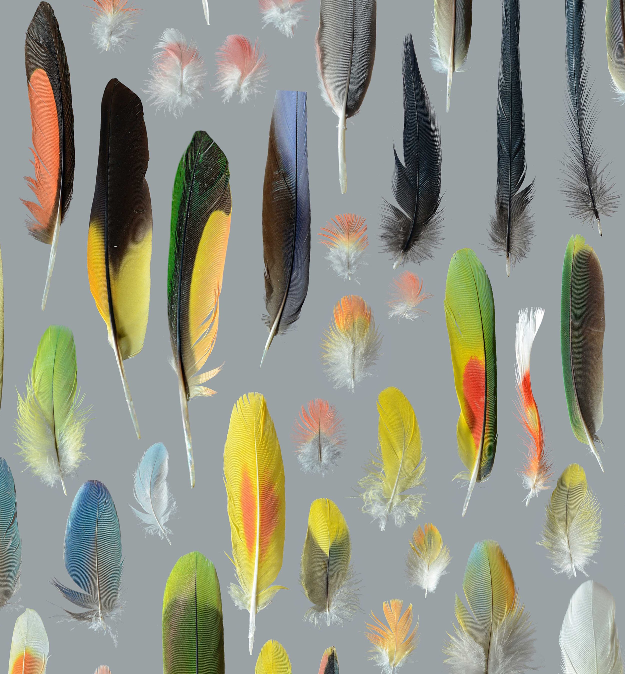 Untitled design (19).jpg