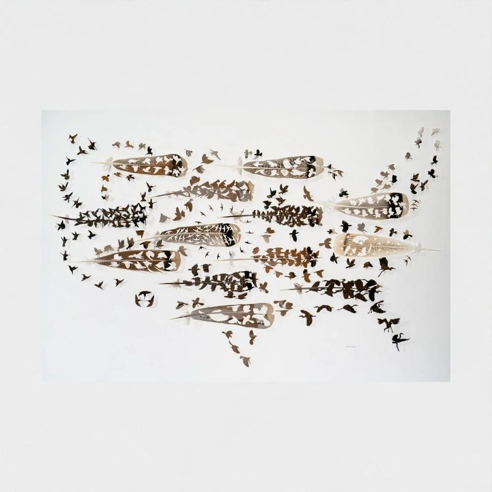 prodigi-GLOBAL-HPR-20X30 (2).jpg