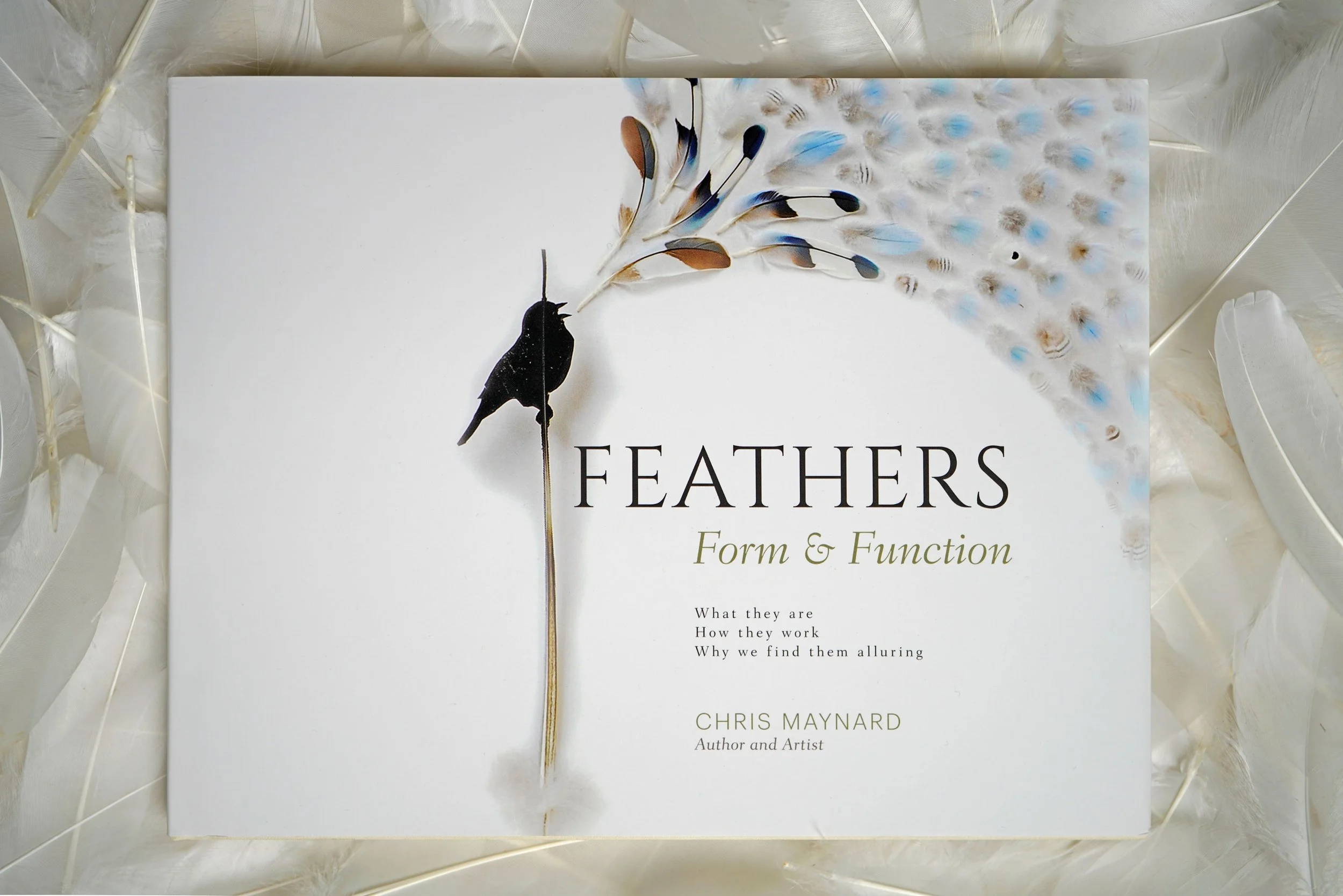 Untitled design (29).jpg