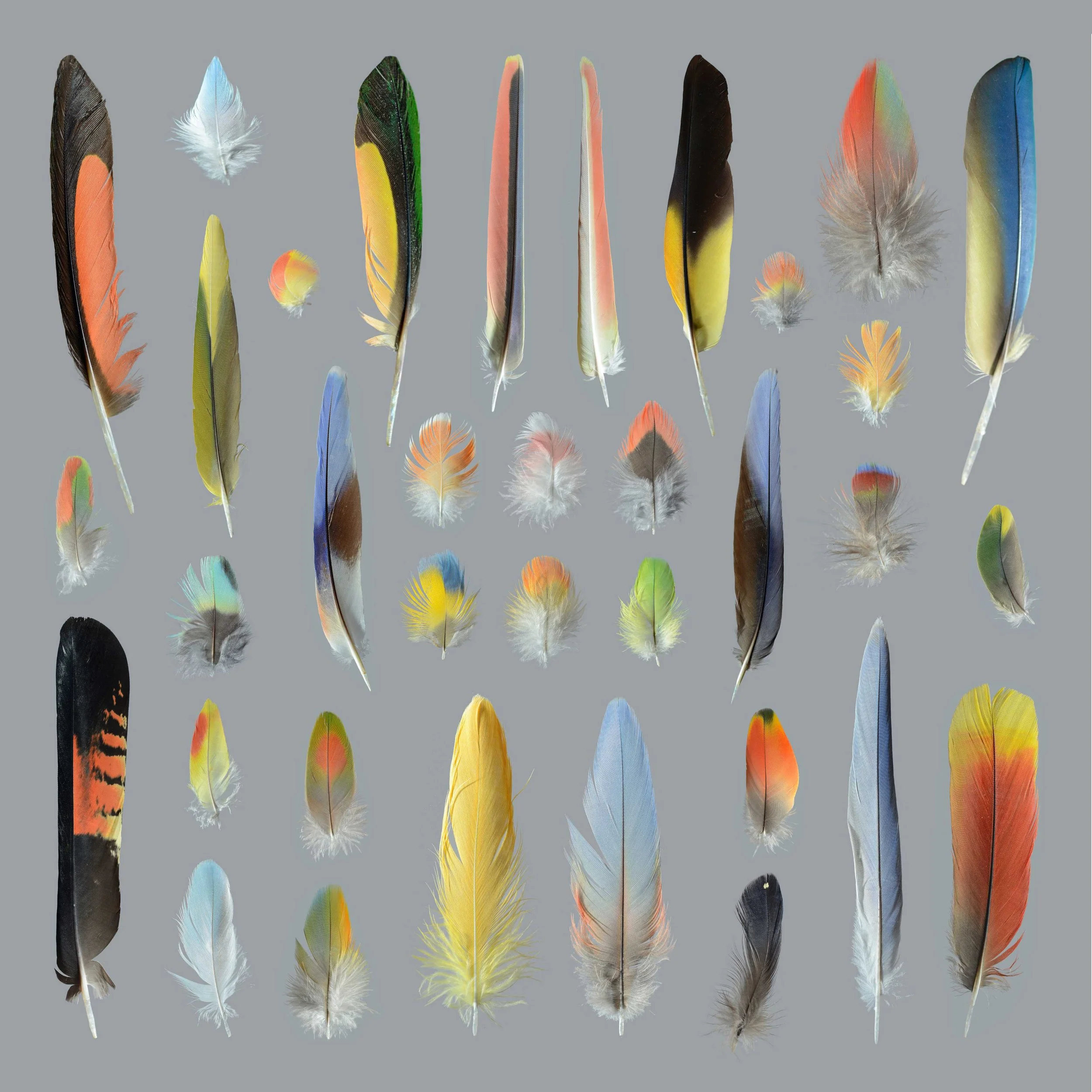 Untitled design (11).jpg