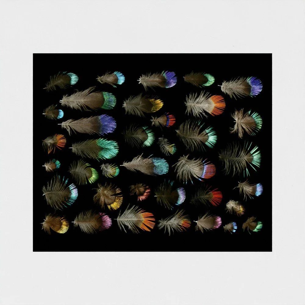 prodigi-GLOBAL-HPR-20X24 (2).jpg