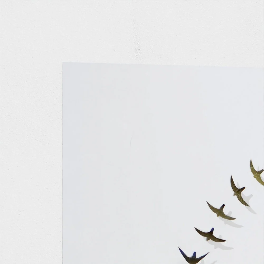 prodigi-GLOBAL-HPR-20X20 (1).jpg