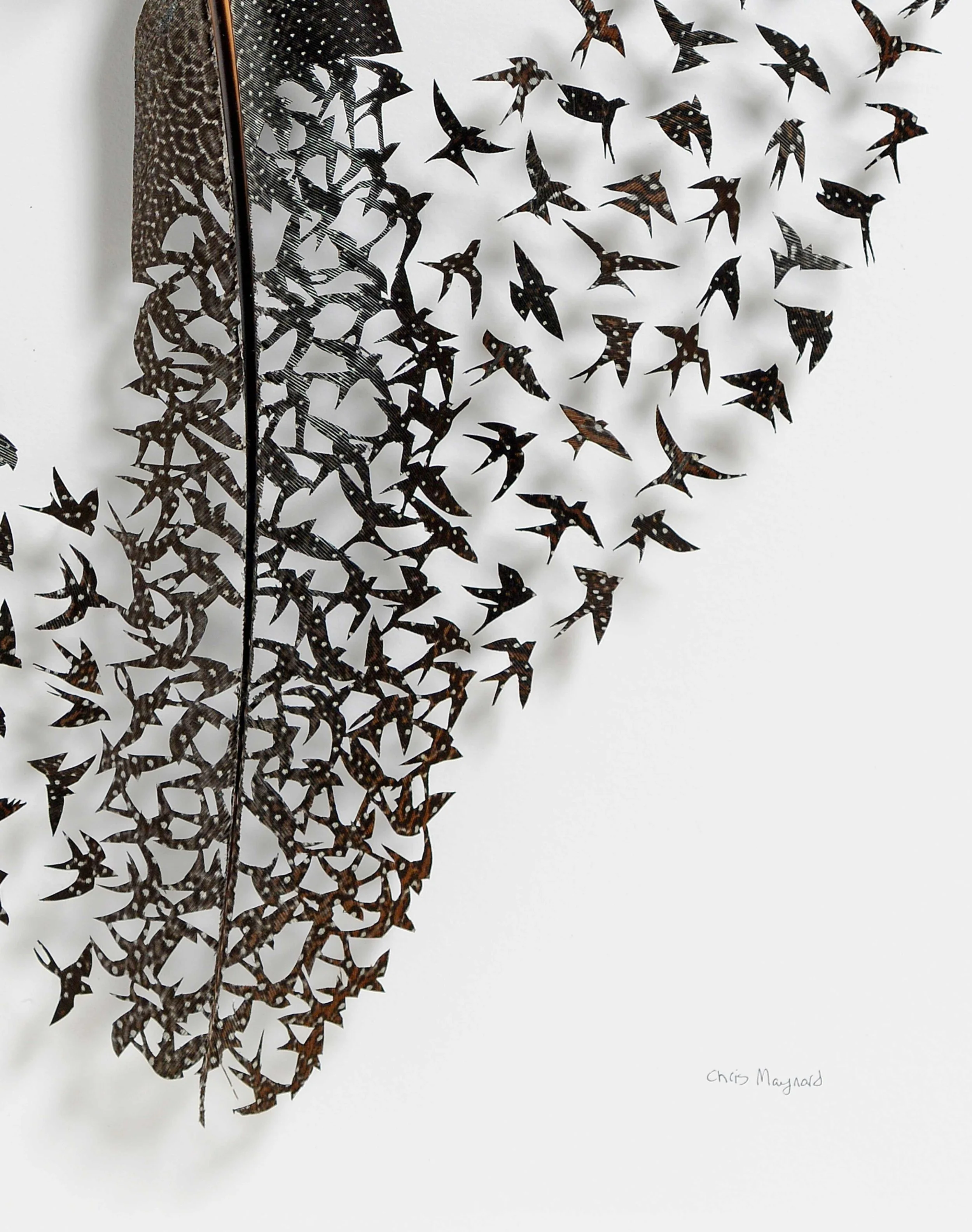 Untitled design (2).jpg