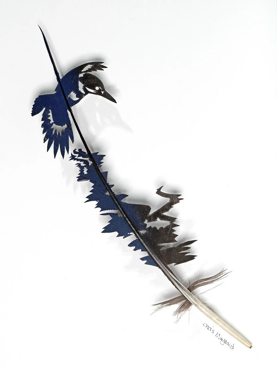 King Fisher Whiter WEB (1).jpg