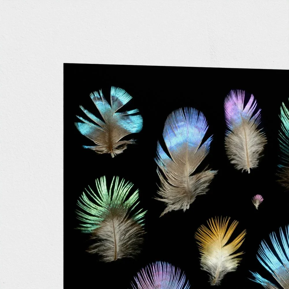 prodigi-GLOBAL-HPR-20X24 (1).jpg