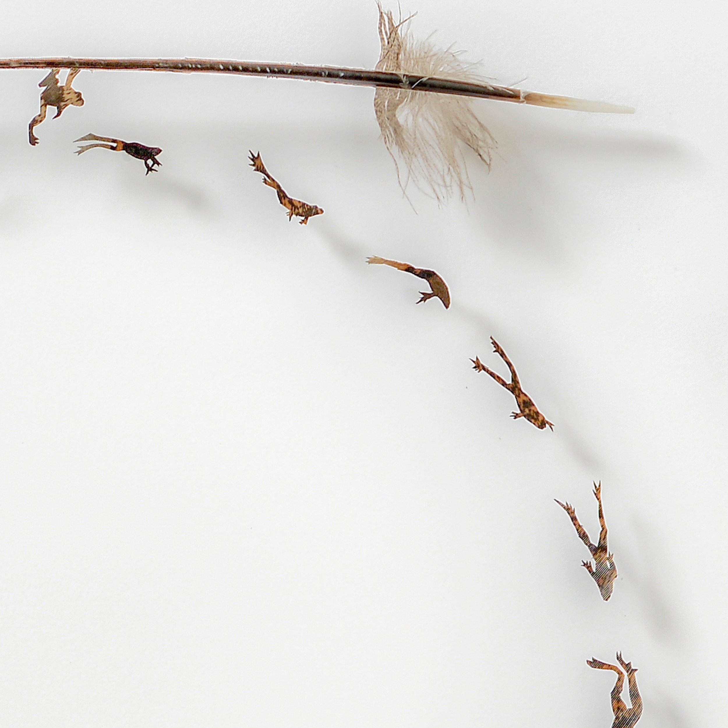 Untitled design (17).jpg