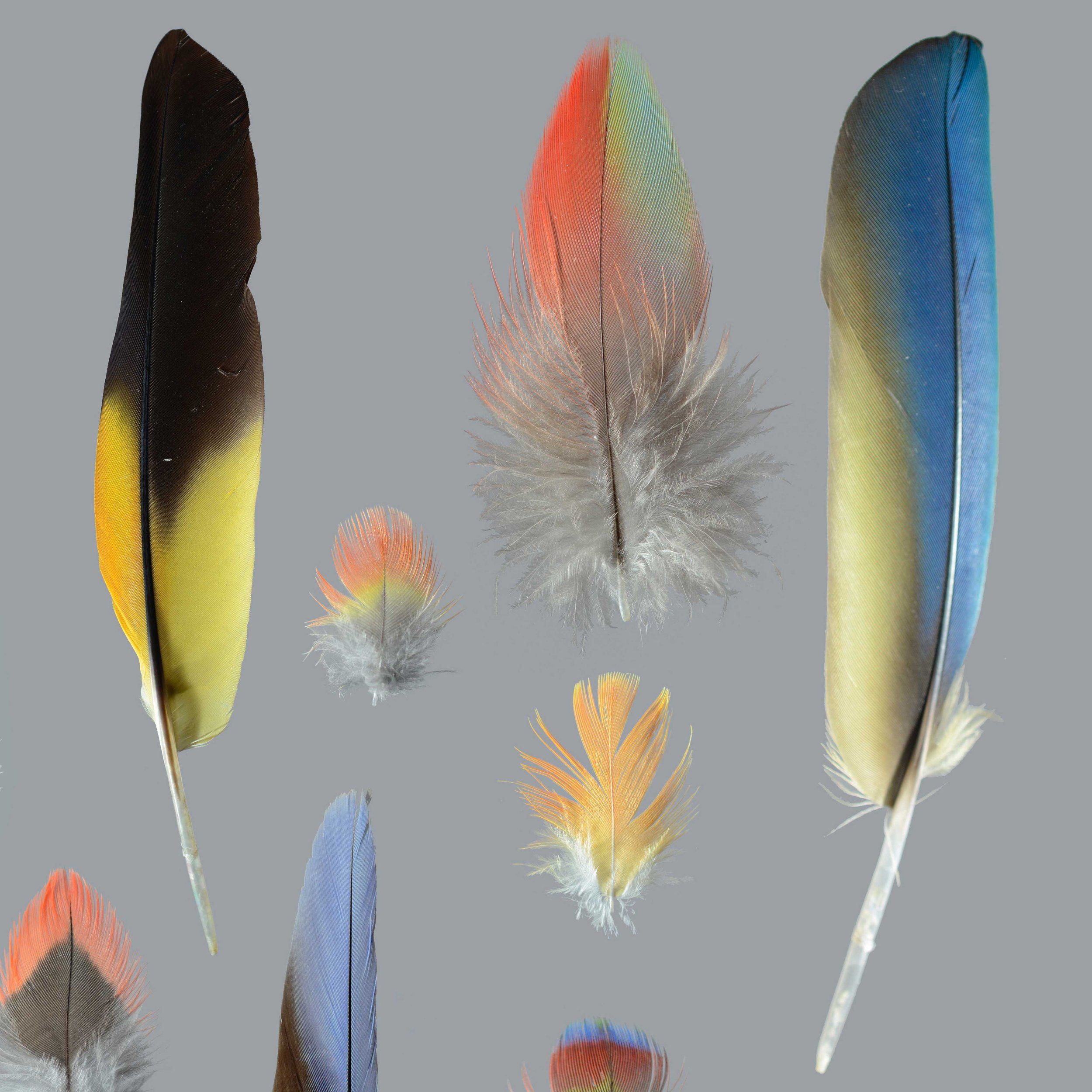 Untitled design (15).jpg