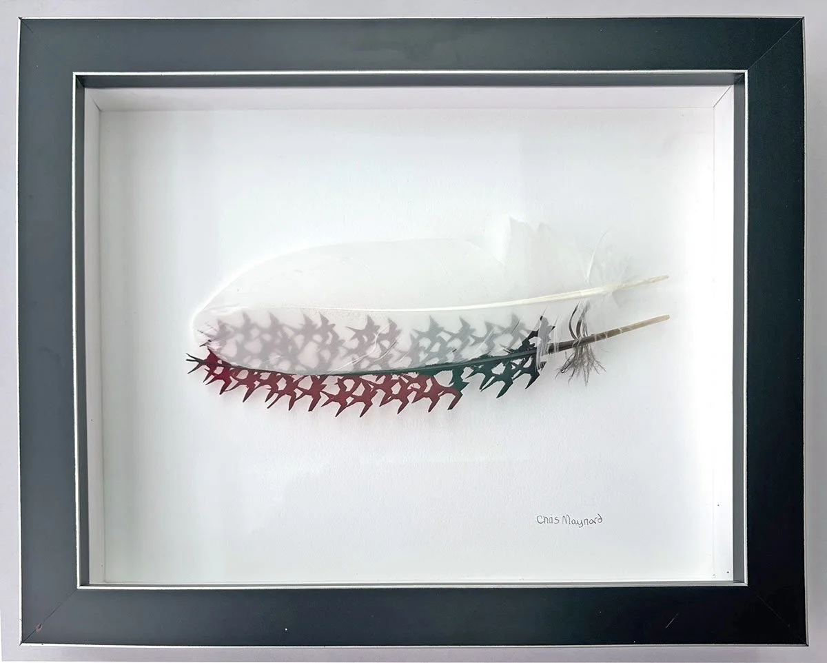 fog swallow study 1 WEB Frame.jpg