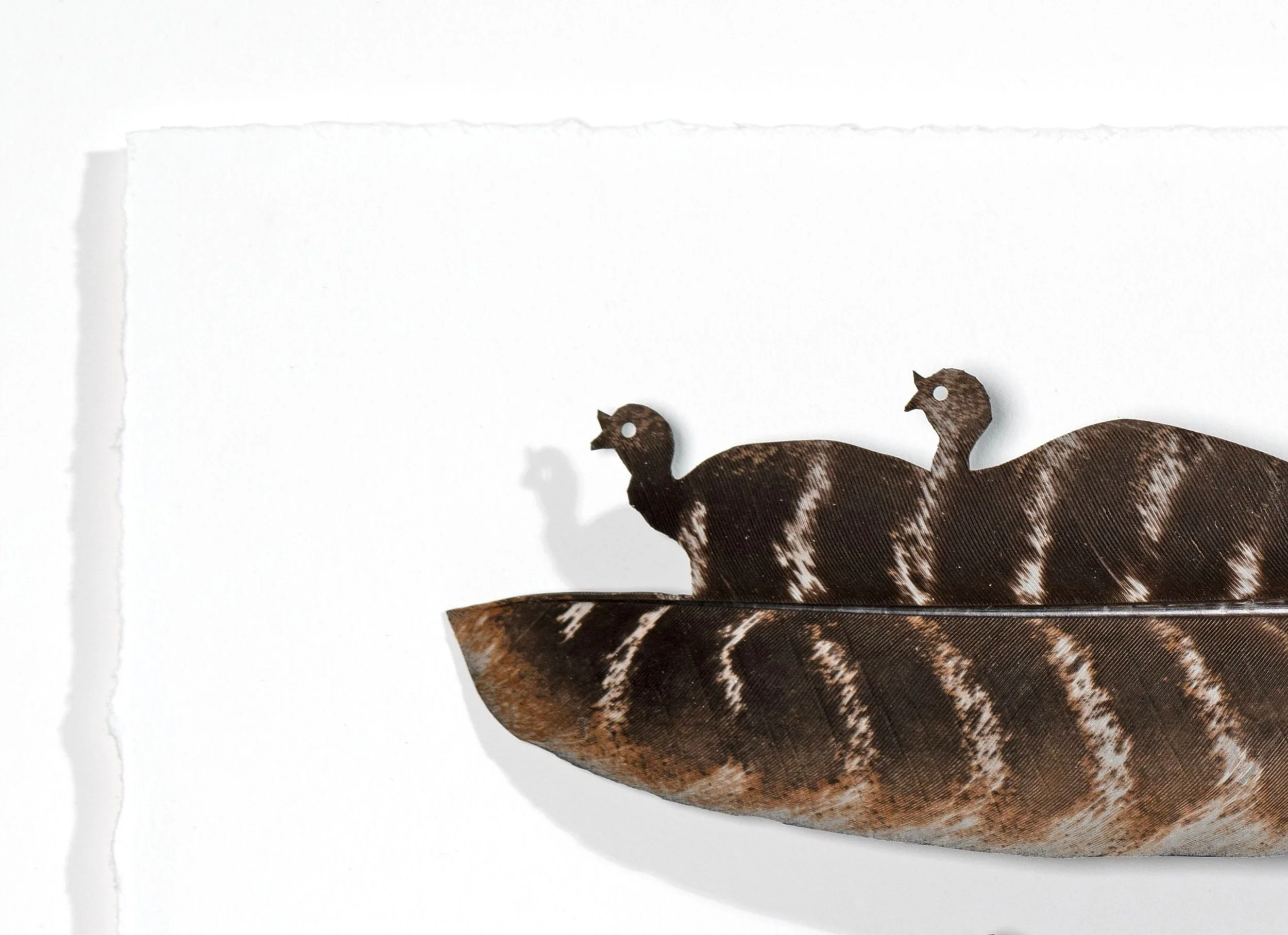 Untitled design (22).jpg